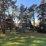 Le Clos Des Pins - - Paisible Fermanville