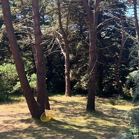 Holiday home Le Clos Des Pins - - Paisible Fermanville