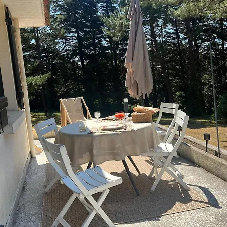 Le Clos Des Pins - - Paisible * Fermanville