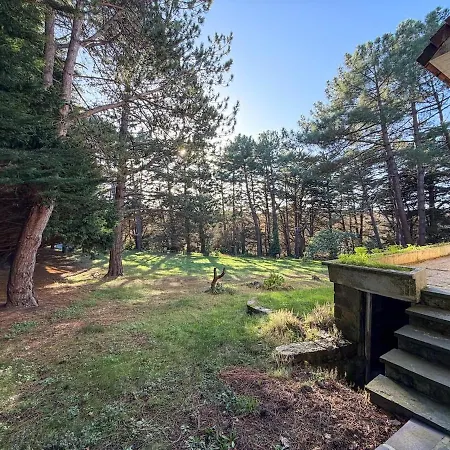 Holiday home Le Clos Des Pins - - Paisible *