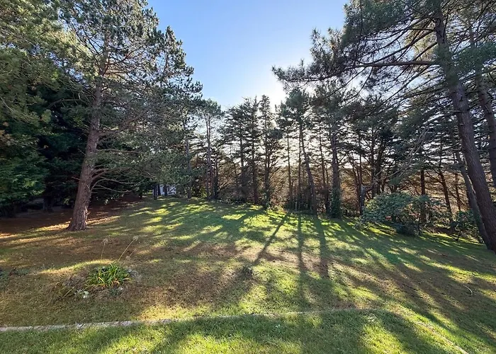 Le Clos Des Pins - - Paisible Hébergement de vacances *