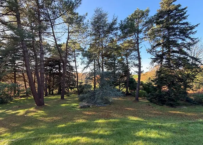 Le Clos Des Pins - - Paisible Fermanville