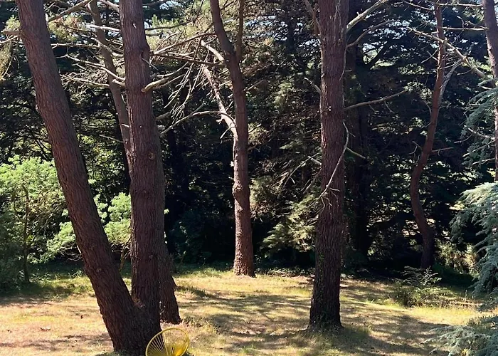 Hébergement de vacances Le Clos Des Pins - - Paisible Fermanville