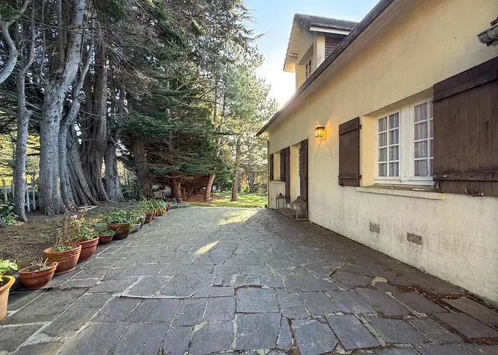 Hébergement de vacances Le Clos Des Pins - - Paisible